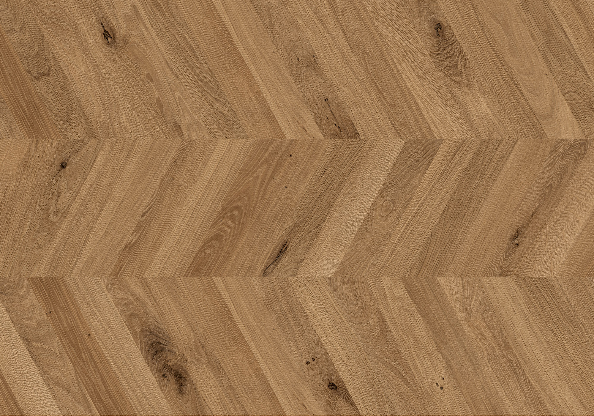 Chevron Kaya Oak Wellington | Garcia Imported Tile