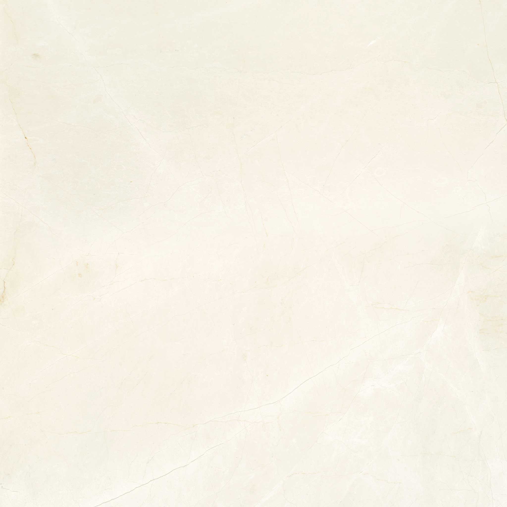 Avorio Crema 24x24 | Garcia Imported Tile