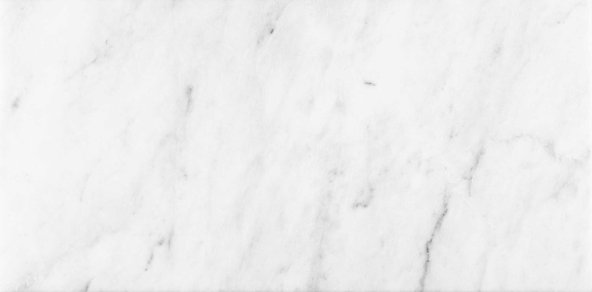 Bianco Venatino 12x24 Polished | Garcia Imported Tile