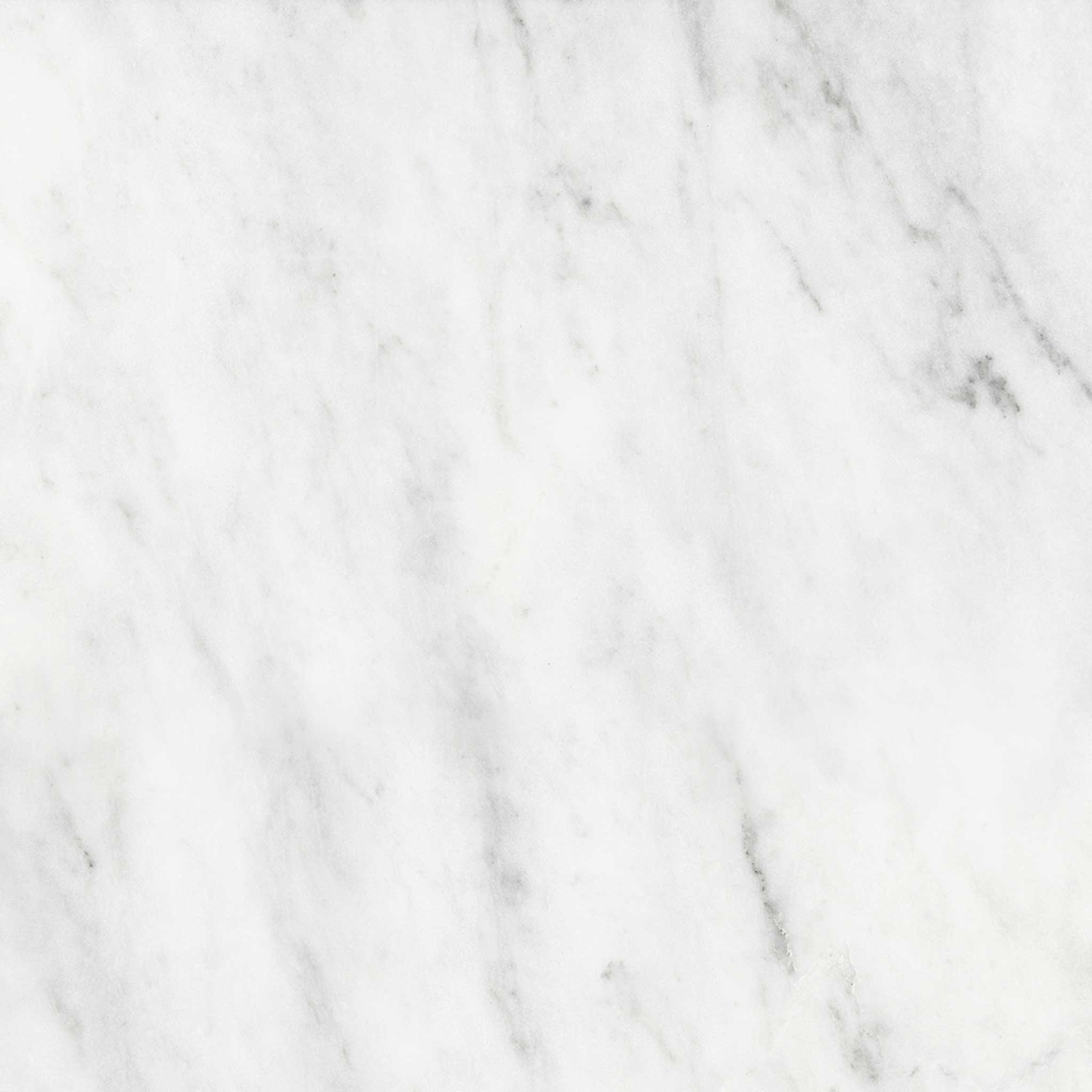 Bianco Venatino 18x18 Polished | Garcia Imported Tile