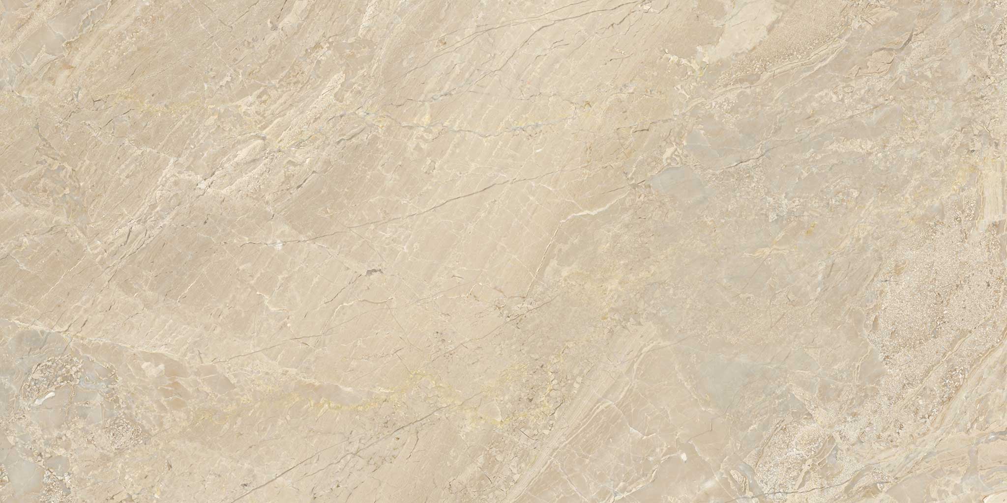 Impero Reale 12x24 Honed | Garcia Imported Tile
