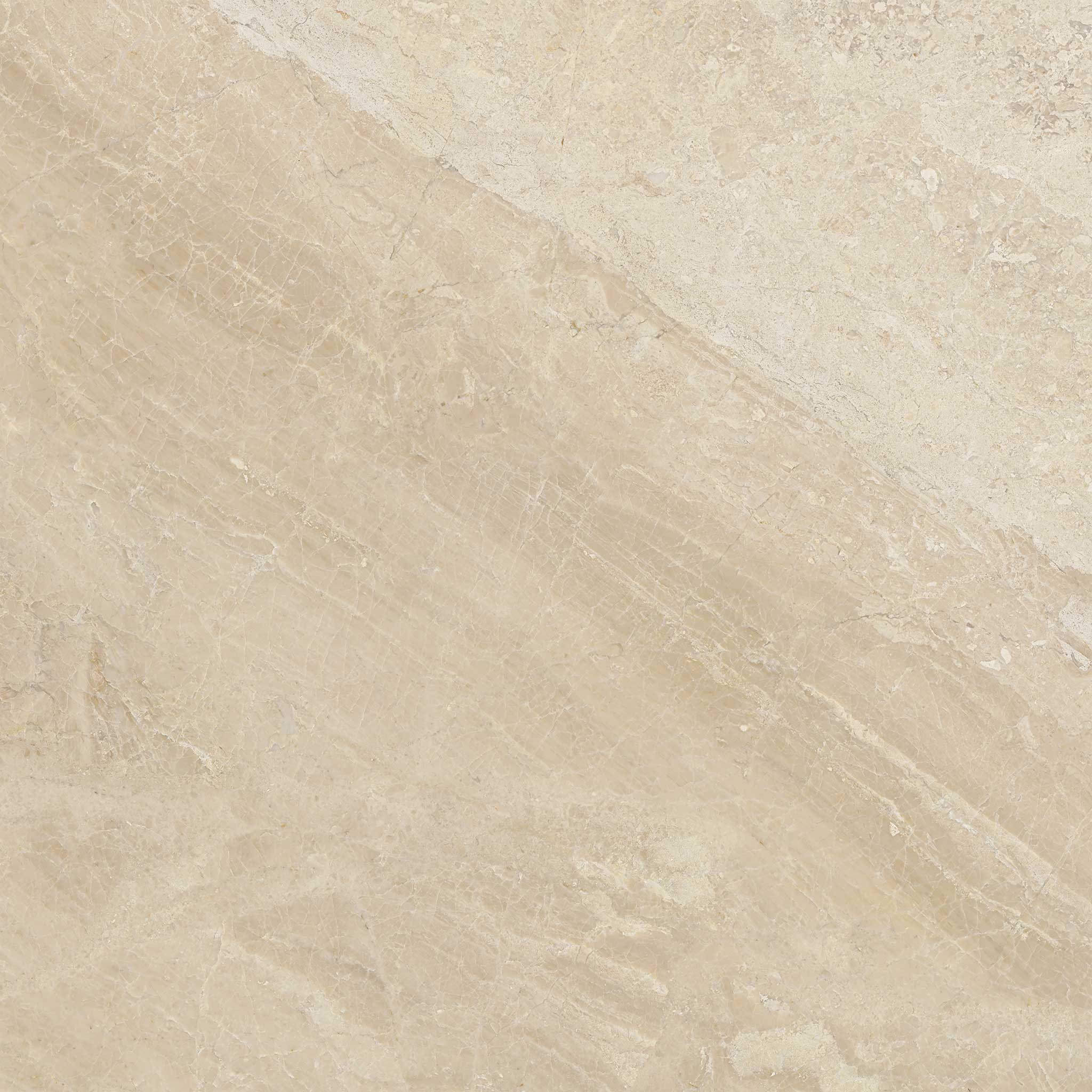 Impero Reale 24x24 Polished | Garcia Imported Tile