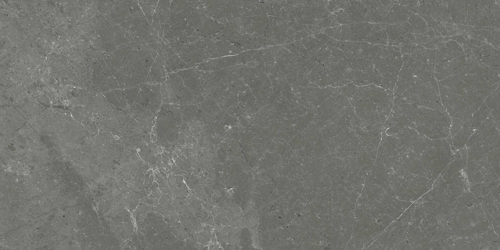 Stark Carbon 12x24 | Garcia Imported Tile
