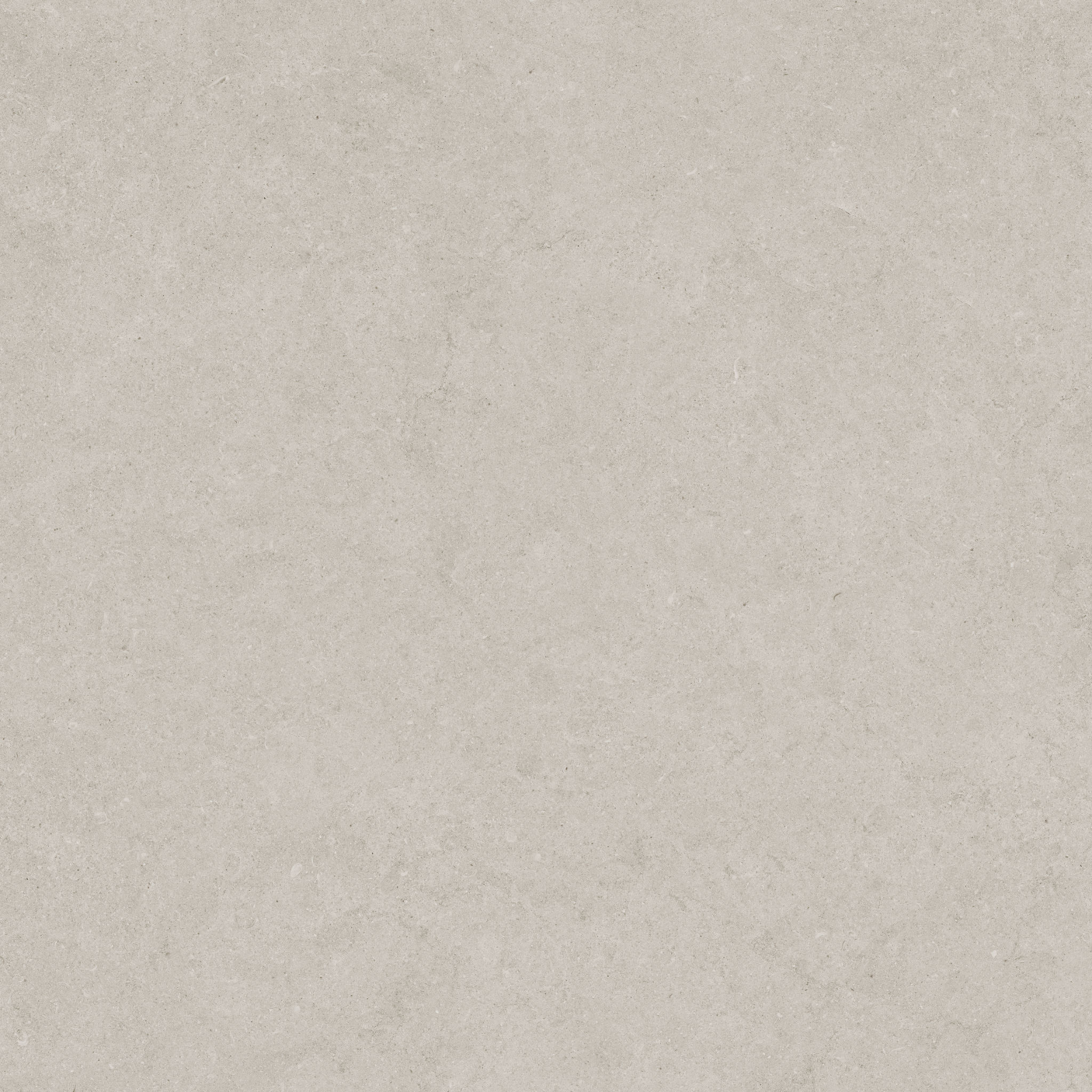 Lithoform 24X24 Crosscut Coast | Garcia Imported Tile