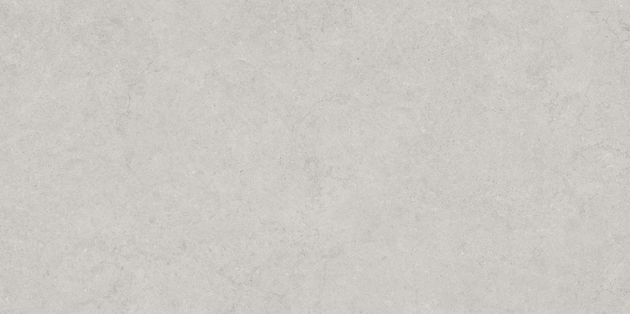 Lithoform 24X48 Crosscut Vista | Garcia Imported Tile