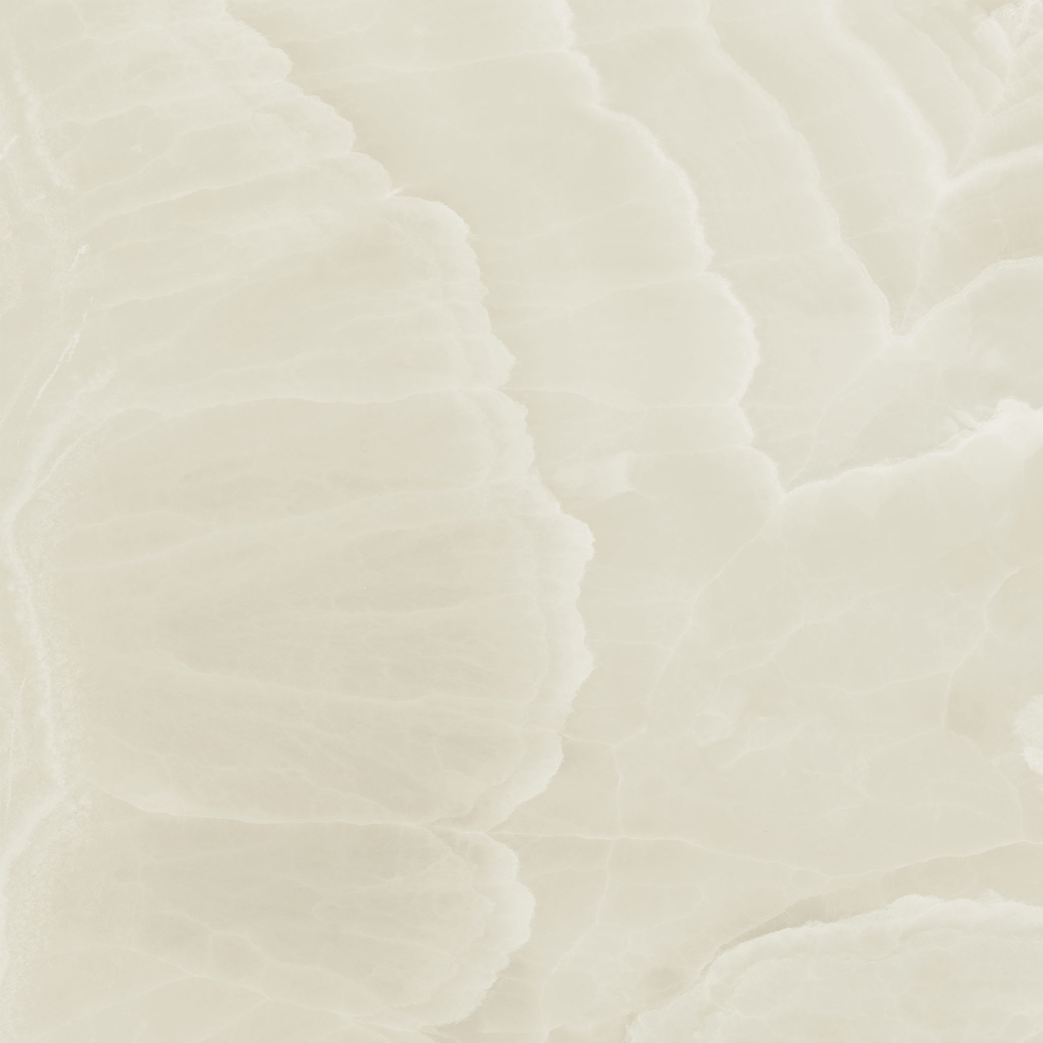 Lustra 36x36 Onyx Crema Honed | Garcia Imported Tile