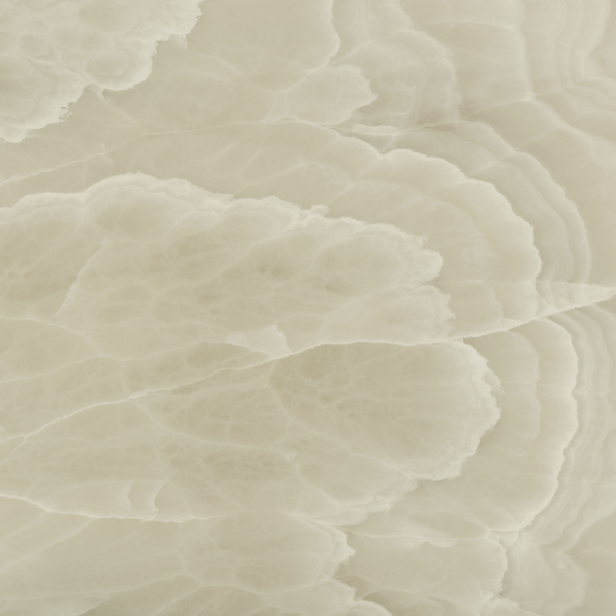 Lustra 48x48 Onyx Hazel Honed | Garcia Imported Tile