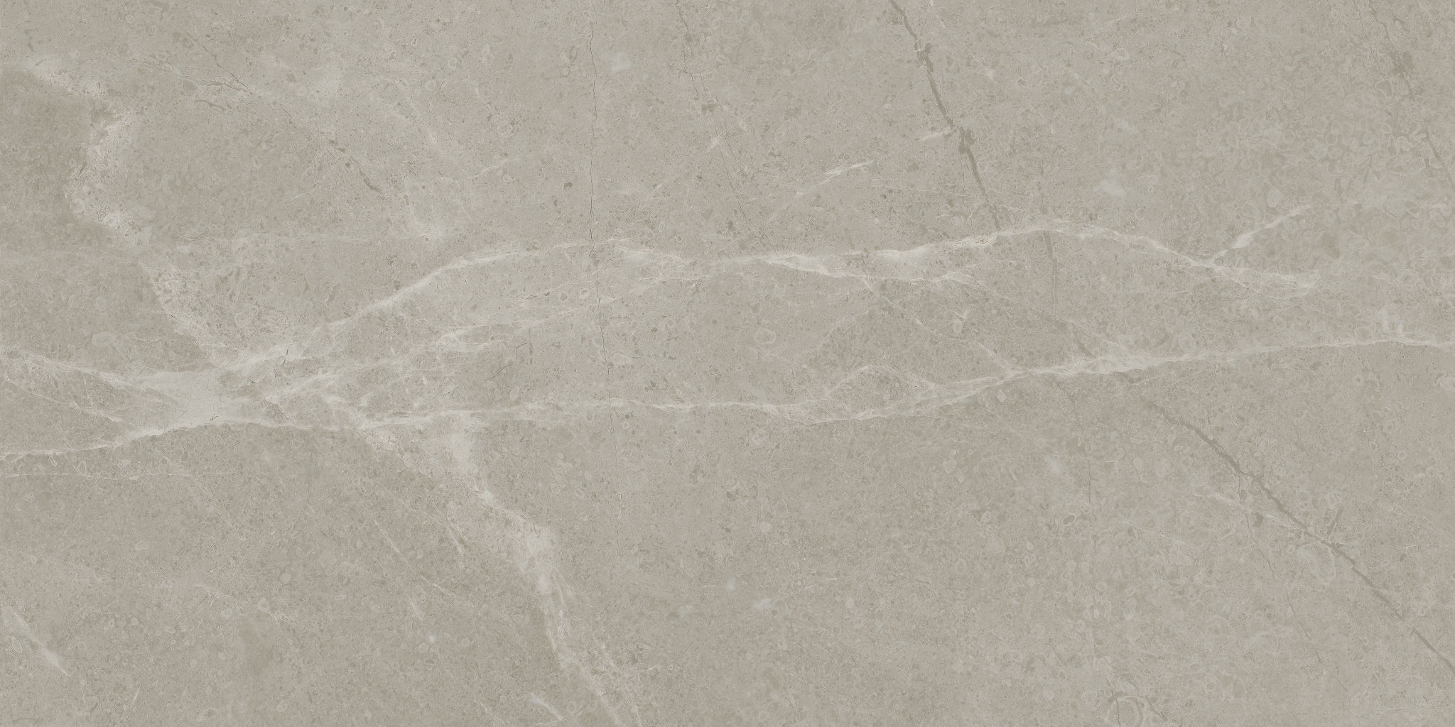 Torino 12x24 Vanizio | Garcia Imported Tile