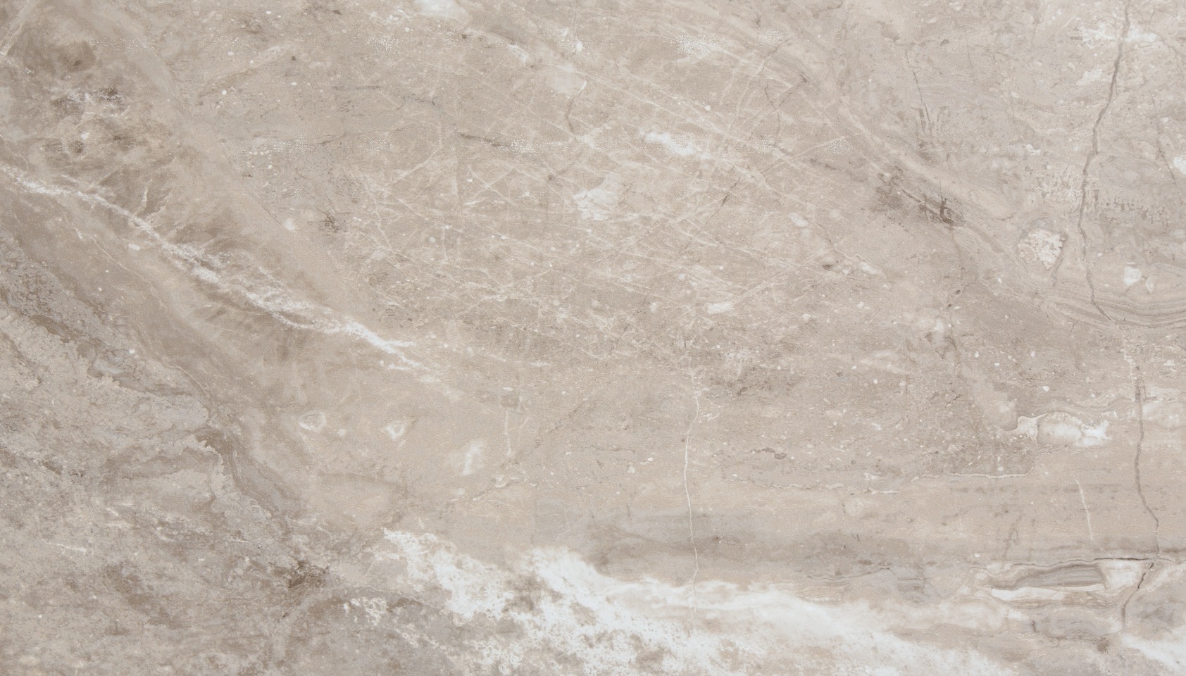 Venetian Marble Wall Tile 25x15 | Garcia Imported Tile