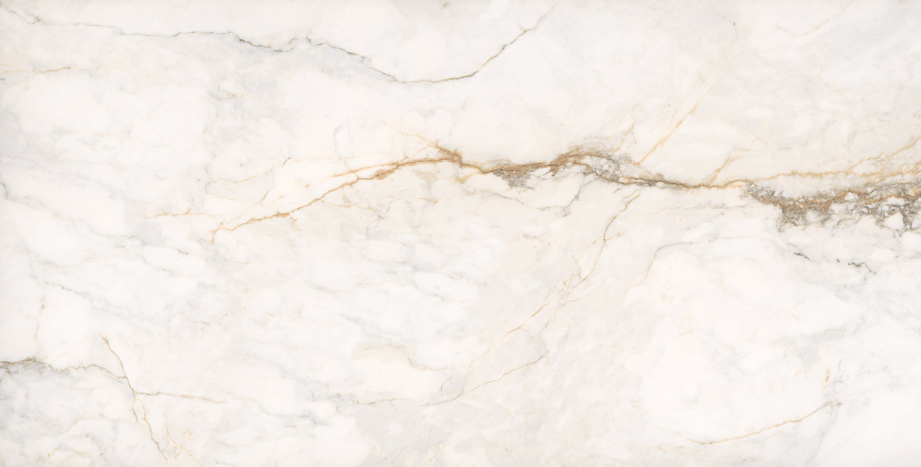 Treasure II Perfect Calacatta 24x48 Polished | Garcia Imported Tile